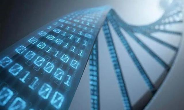 emc是什么,emc是什么船公司(NAS到底是啥) emc是什么,emc是什么船公司(NAS到底是啥)