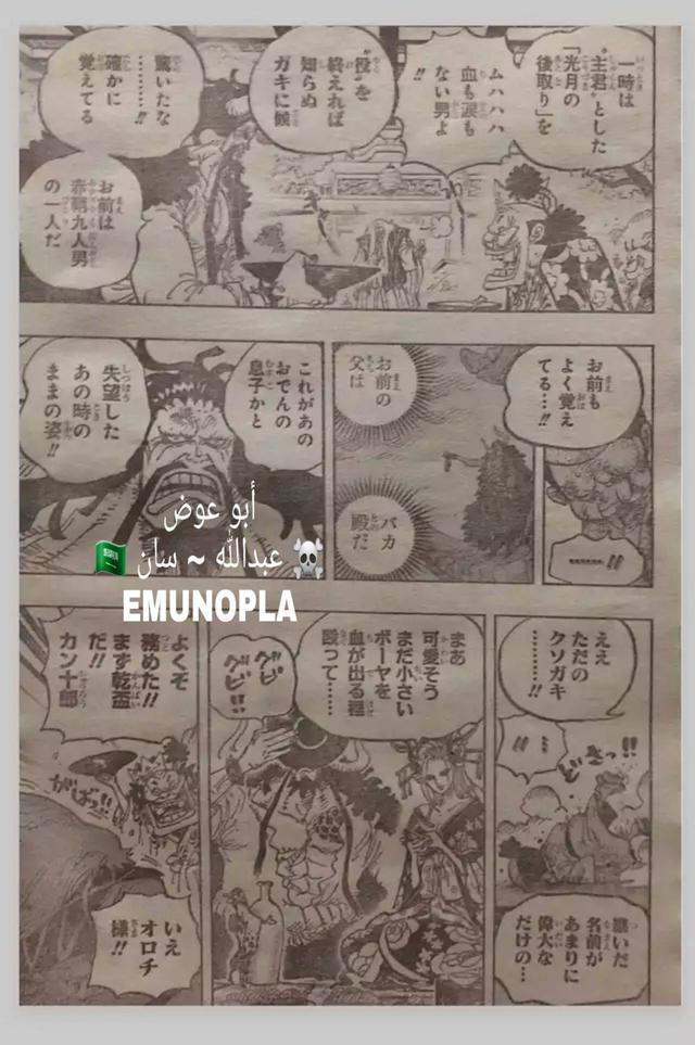 982是什么意思（海贼王982话全图情报+大量补充翻译）