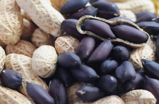 黑花生的功效与作用，黑花生的功效与作用及禁忌（现在农村种植什么最赚钱）