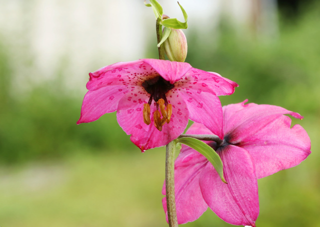 射手男对待备胎的态度，判断你在射手男心里的位置（十二星座抱有什么样的态度）