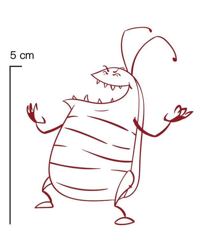为什么有的蟑螂会飞有的不会,为啥有的蟑螂会飞(北方人永远不知道) 为什么有的蟑螂会飞有的不会,为啥有的蟑螂会飞(北方人永远不知道)
