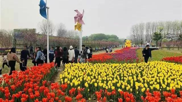 白墙黛瓦的意思，白墙黛瓦被誉武汉小婺源