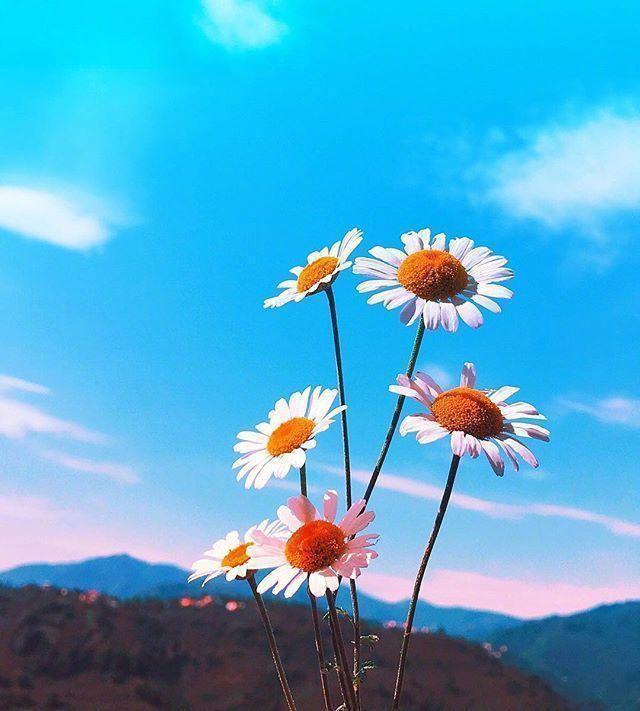 鼓励别人挣钱的话，鼓励别人挣钱的说说（早安心语赚钱感悟）