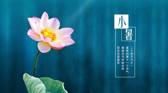 节气小暑的习俗有哪些 小暑节气的风俗活动与食俗汇总，节气小暑的习俗有哪些（这5个小暑习俗你知道几个）