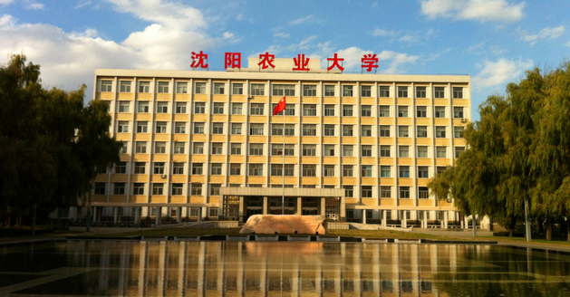 沈阳农业大学录取查询，2021年沈阳农业大学录取结果查询及录取通知书发放时间什么时候收到（沈阳农业大学2019年录取分数）