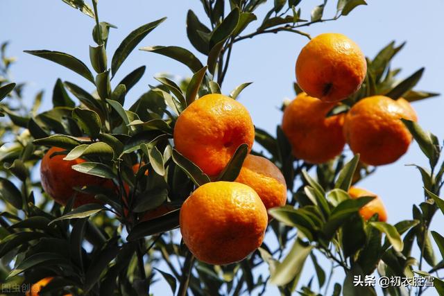 初冬是几月，初冬是几月在古代怎么形容（诗词里初冬美丽的别称）