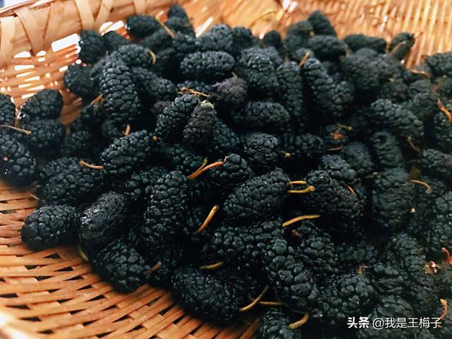 桑葚酒的制作方法，桑葚酒的泡制方法（详细做法和配方分享）