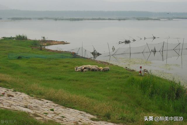 东平湖旅游，东平湖旅游区（渔业资源丰富）