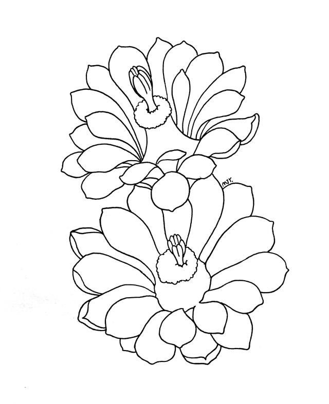 花瓣的简笔画法，花瓣简笔画图片大全（零基础也可以画的很好看）