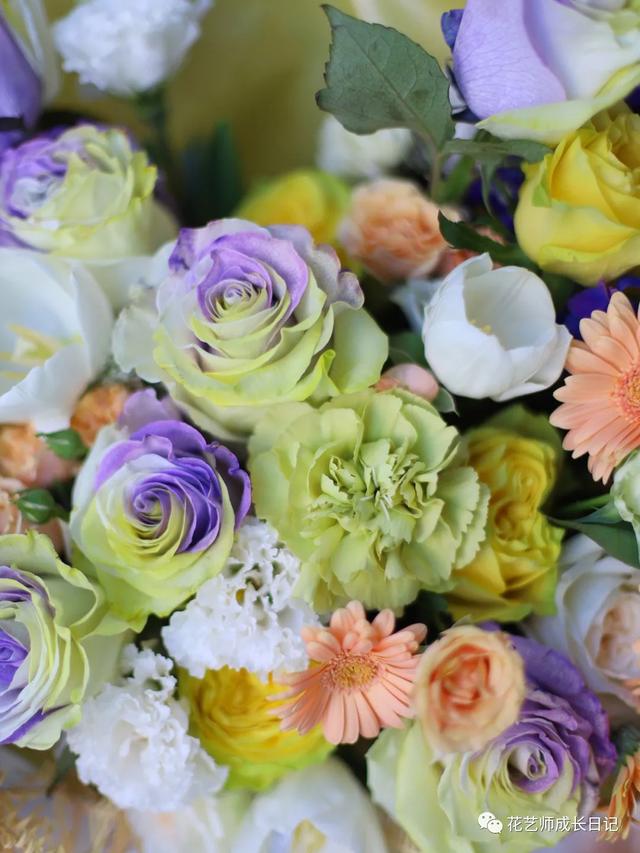 厄瓜多尔玫瑰是染色吗，厄瓜多尔玫瑰是染色吗为什么