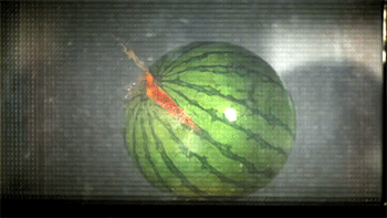 鲸落，鲸落唯美图片（鲸鱼的死亡，是馈赠还是噩梦）