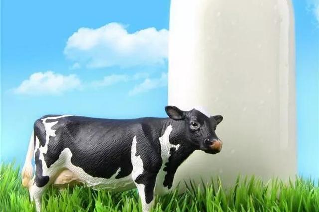 伊利经典有机奶，伊利金典有机奶（从“四面受敌”到“红极一时”）