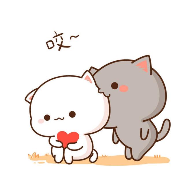 蜜桃猫情侣头像，蜜桃猫微信（我的上眼皮爱上了下眼皮）