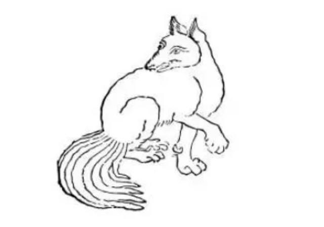 狐狸有什么特点，狐狸有什么特点,你想对它说狮子和狐狸（狐狸精为啥不能是男的）