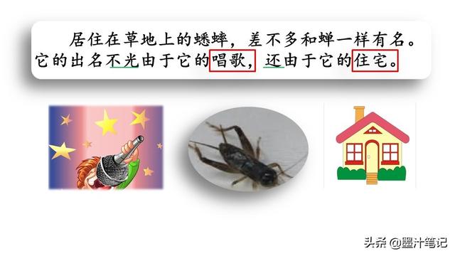 蟋蟀的住宅指的是什么，蟋蟀的住宅 是指什么（第三单元《蟋蟀的住宅》课文讲析）