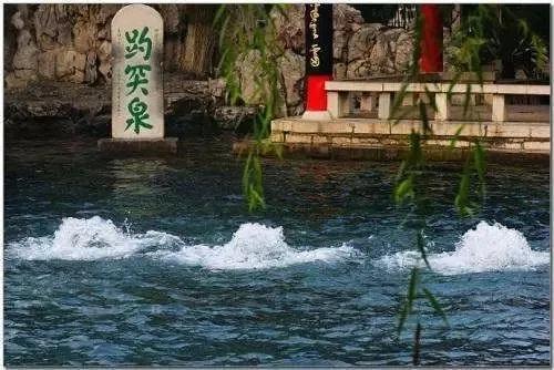 浩克山东是什么梗，浩克沙东人是什么梗（“浩克”山东）