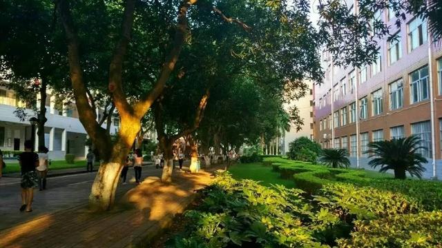 广西最好的专科学校排名公办，广西专科学校排名及分数线-广西最好的公办专科学校前十（最新2022年广西自治区高职院校排名出炉）