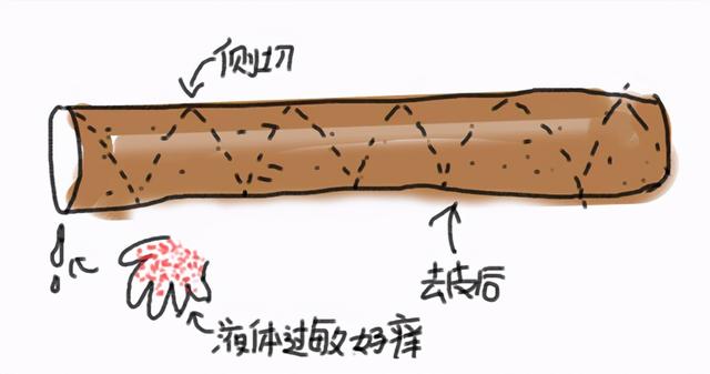 山药的粘液为什么会痒，山药的粘液为什么会痒呢（很多人对山药表皮的黏液过敏）