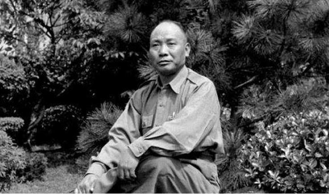 河南蝗灾发生在哪一年，河南蝗灾死了多少人（大饥荒中的汤恩伯到底有多狠）