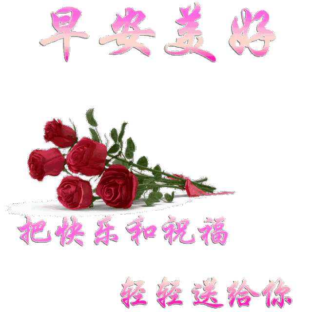 的太阳,让我感觉夜不再漫长,你是心情的聆听着,让我倾诉生活的烦恼,你