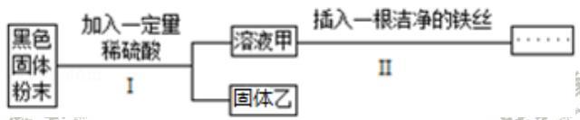 用稀硫酸除铁锈的原理是什么，硫酸除铁锈生成什么（九年级化学第十讲 常见的酸）