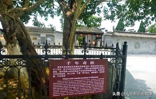 景德镇旅游一定要去游览的景区，景德镇市旅游必去景点（景德镇有景有故事）