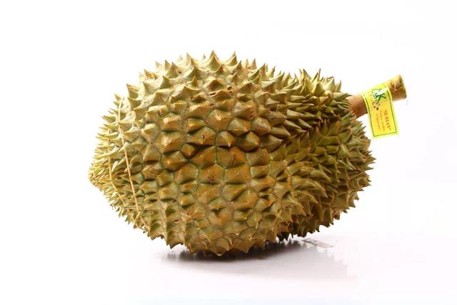 长柄猫山王的介绍，长柄猫山王是什么品种（属榴莲狂热粉的先上车）