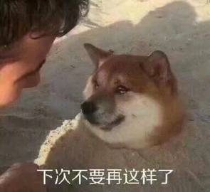 手机淘宝官网(官方淘宝网免费下载手机版下载)
