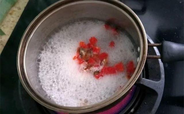 虫害防治新窍门，叶子油绿没有黑点了
