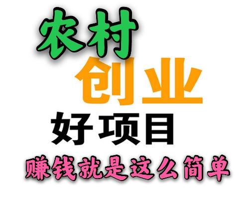 发家致富好项目，发家致富好项目推荐（这几个新项目很不错）
