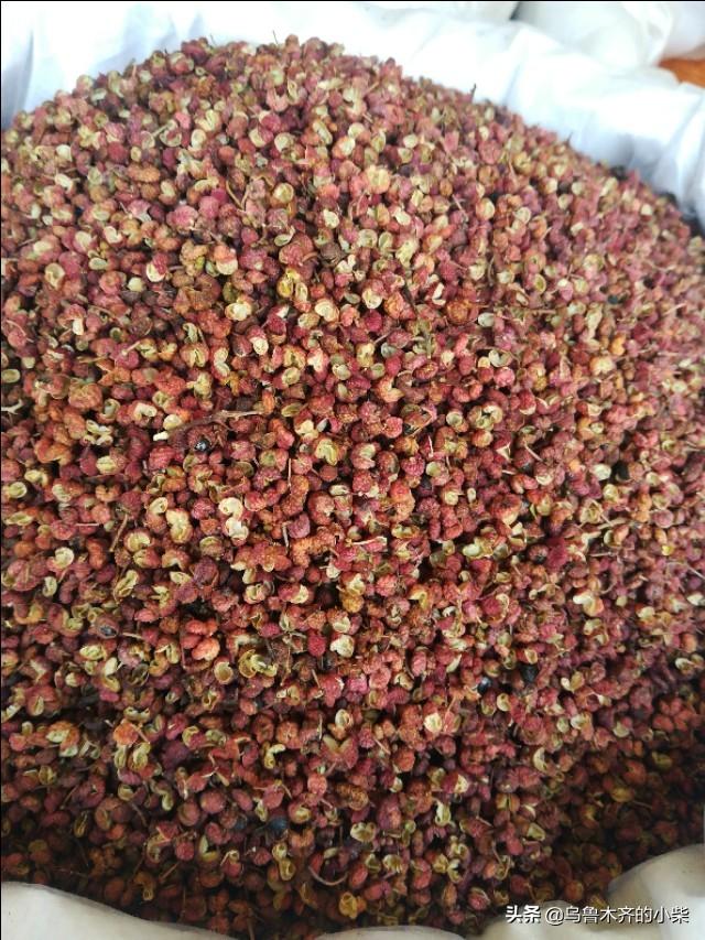 花椒的产地在哪里，花椒盛产于哪里（花椒的品种和产地）