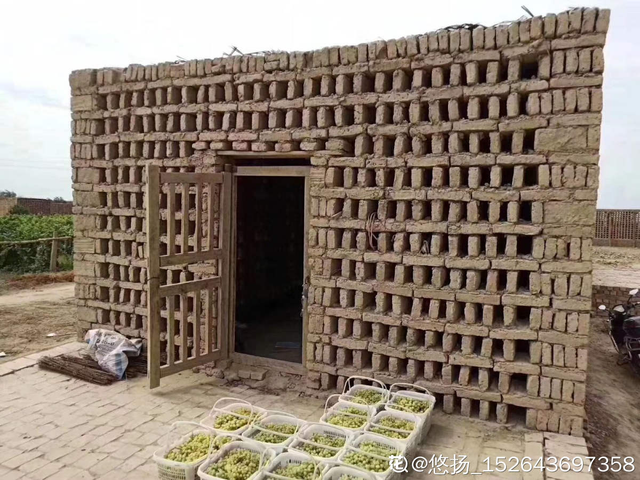 葡萄干怎么保存，葡萄干储存温度（葡萄干的制作方法太奇特）