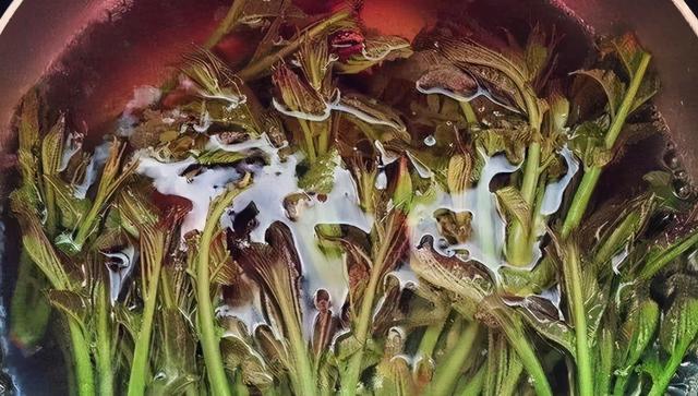 如何腌制香椿咸菜，如何腌制香椿咸菜视频（放1年照样好吃）