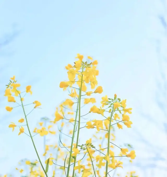 离开你我才发现自己那爱笑的眼睛，离开你我才发现自己那爱笑的眼睛歌词（那爱笑的眼睛。流过泪）