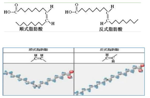 完全氢化植物油有害吗，氢化植物油会致癌吗（它和反式脂肪酸有什么关系）