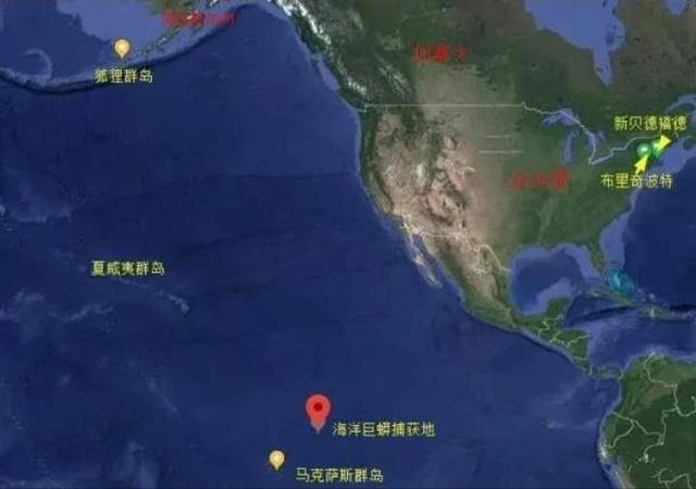 太平洋在哪个位置，太平洋在哪里（美国报纸声称在南太平洋捕获海洋巨蟒）