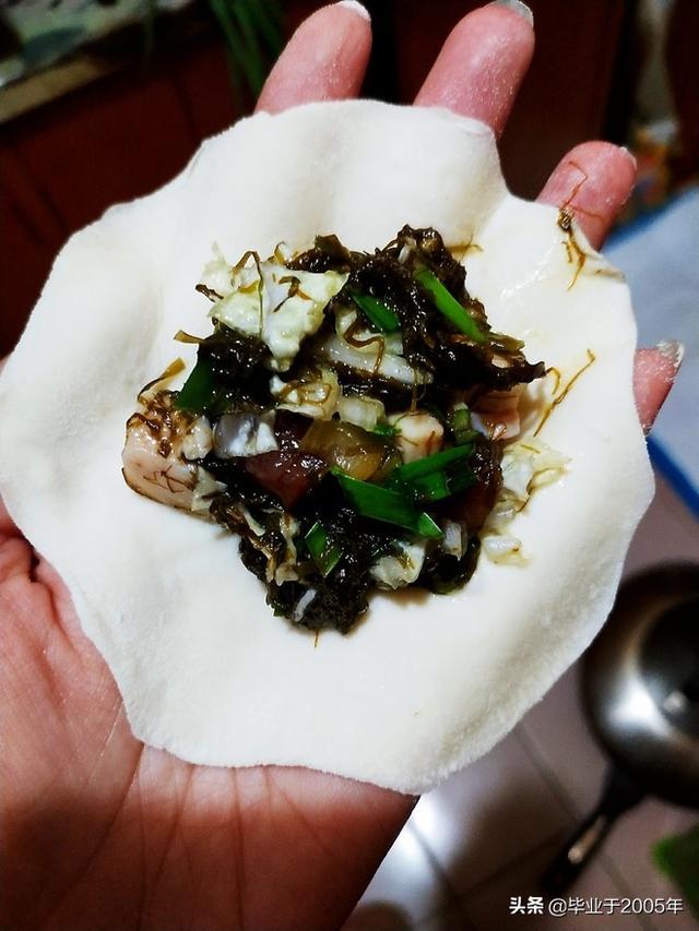 海菜种类大全集，海裙菜与紫菜区别（水产人带您认识一下大连海域常见的“海菜”）