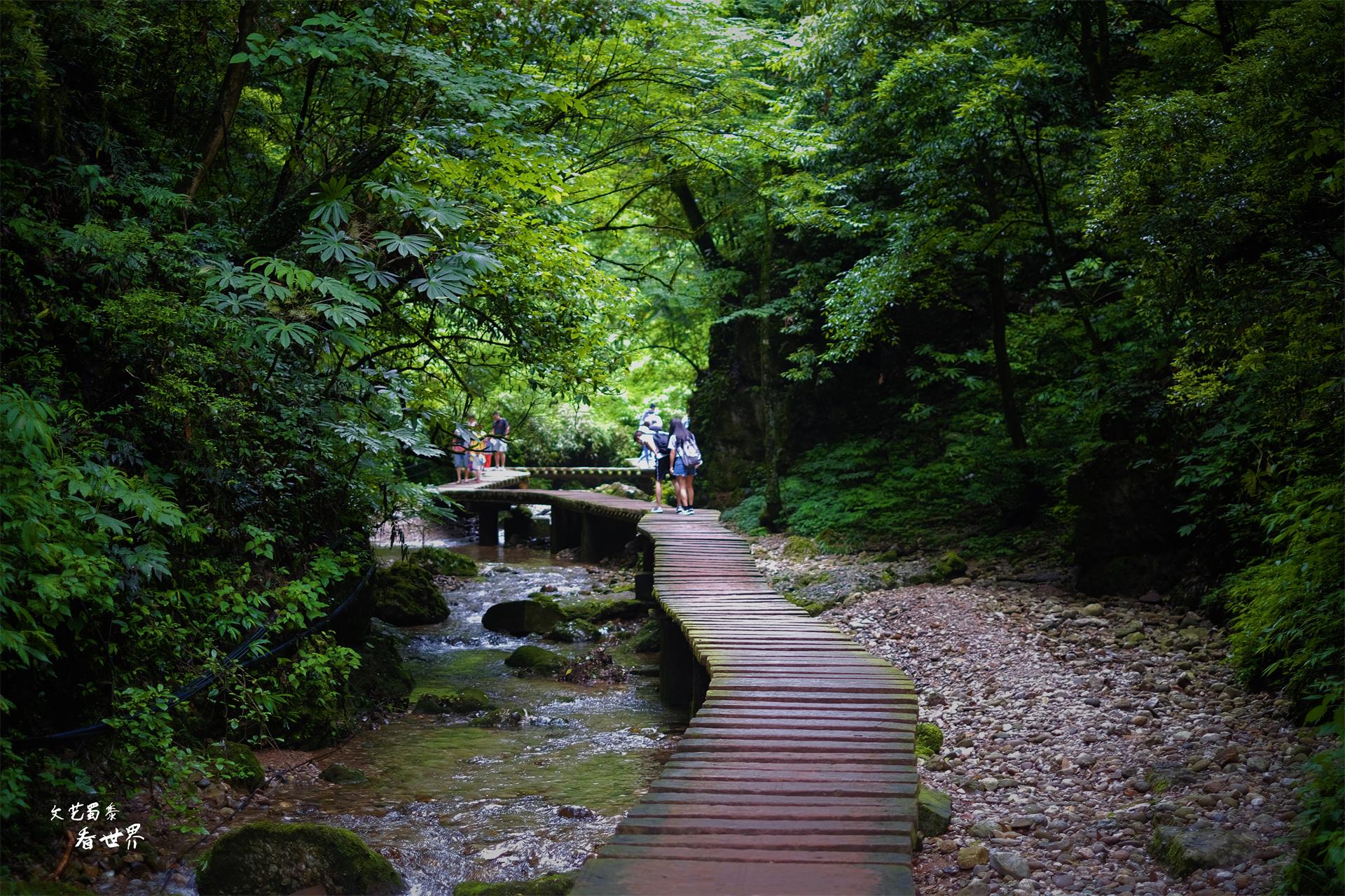 成都必去的10个景点（玩遍这10个地方，成都之旅就圆满了）