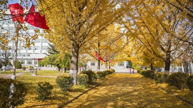 辽东学院宿舍条件怎么样，辽东学院宿舍几人间（辽宁省普通高等院校）