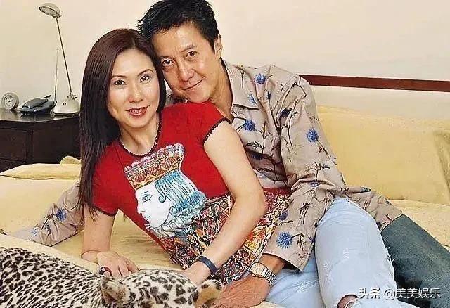 盆景猫（盆景猫百科，港姐又在垃圾堆里捡男人（招财猫盆景怎么养）