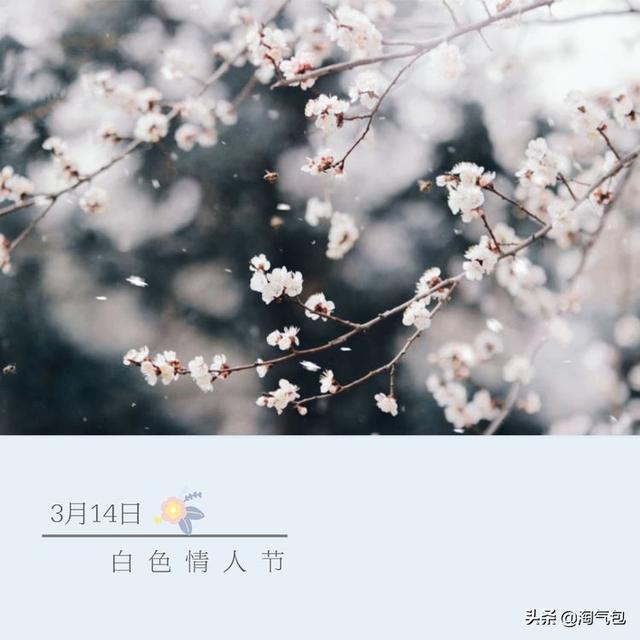 12个月都有什么情人节，二月没过情人节的今天补上