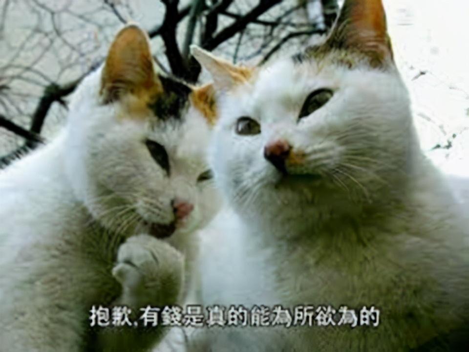 最赚钱的游戏(3d捕鱼游戏)