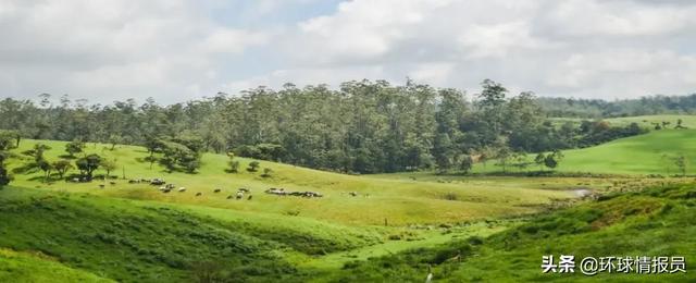 新西兰首都是哪个国家哪个地方，新西兰首都是哪儿（新西兰首都为什么从第一大城市奥克兰迁到惠灵顿）