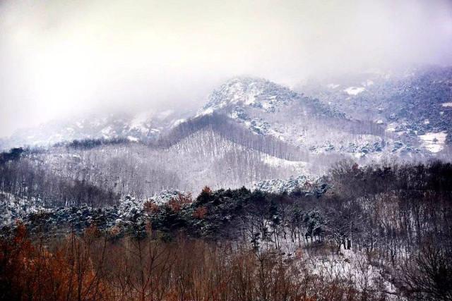 䖝下面一个二是什么成语，无什么成语大全四个字（日本学者百思不解）