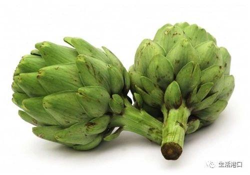 洋蓟是什么东西，洋蓟怎么做好吃（生活小常识：什么是洋蓟）