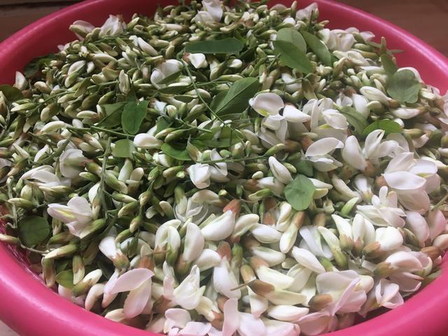 槐花怎么做好吃，洋槐花怎么做好吃（怎能再错过槐花）