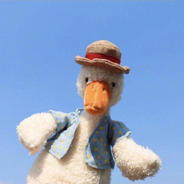 玩偶情侣头像微信，玩偶情侣头像（蓝色天空动物玩偶情侣头像）