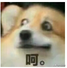 fyi是什么意思，fyi什么意思（直到看到00后的缩写）