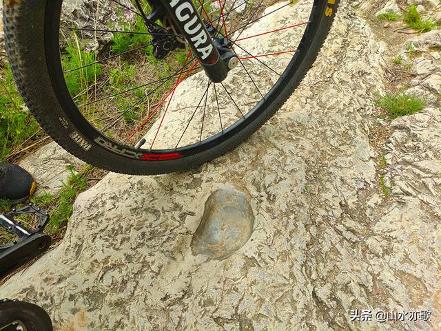 秦皇古道在哪呢，秦皇古道的简介（一座因唐僧晾经而得名的山岭）