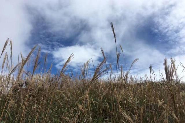 无锡自驾游，无锡自驾游一日游攻略（浙江无锡周边短途自驾游景点攻略推荐）